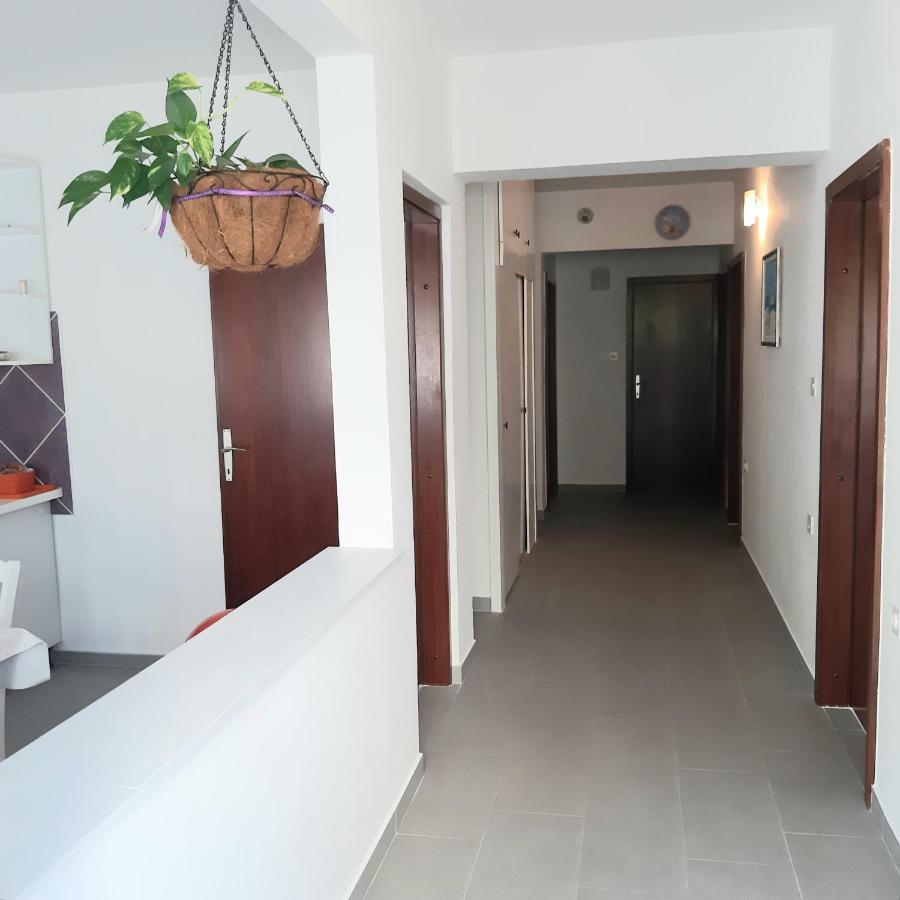 Miletic Homestay